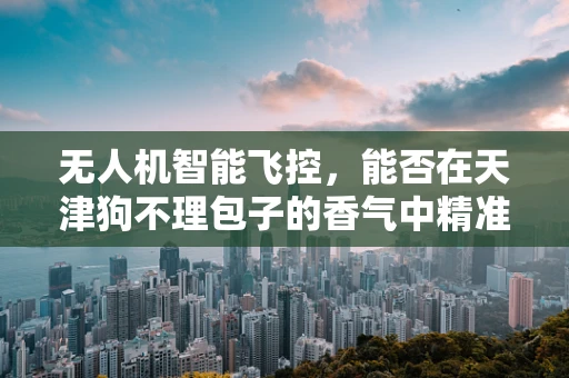 无人机智能飞控，能否在天津狗不理包子的香气中精准导航？