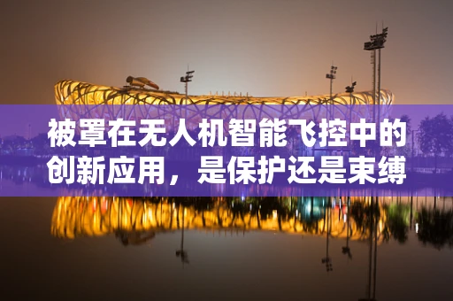 被罩在无人机智能飞控中的创新应用，是保护还是束缚？