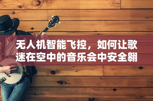 无人机智能飞控，如何让歌迷在空中的音乐会中安全翱翔？