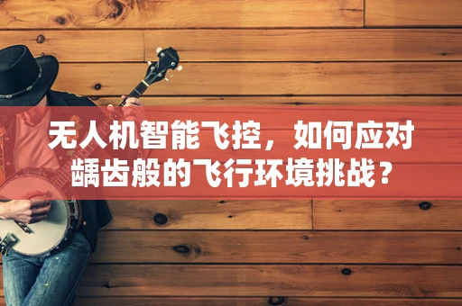 无人机智能飞控，如何应对龋齿般的飞行环境挑战？
