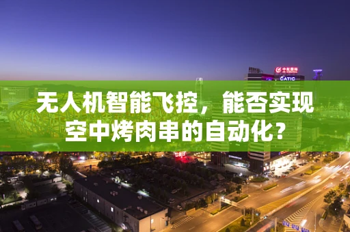 无人机智能飞控，能否实现空中烤肉串的自动化？
