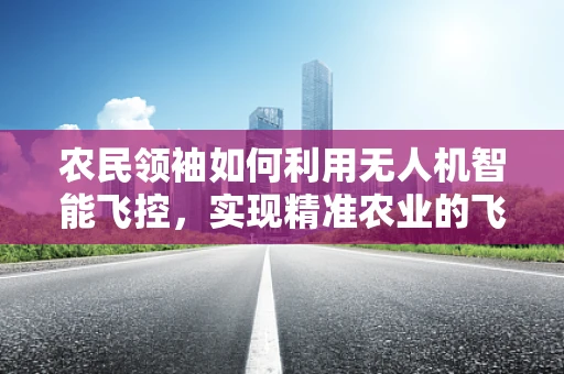 农民领袖如何利用无人机智能飞控，实现精准农业的飞跃？