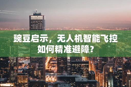 豌豆启示，无人机智能飞控如何精准避障？