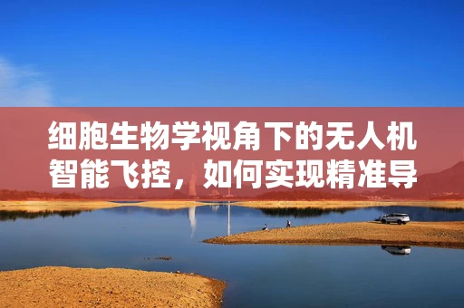 细胞生物学视角下的无人机智能飞控，如何实现精准导航与避障？