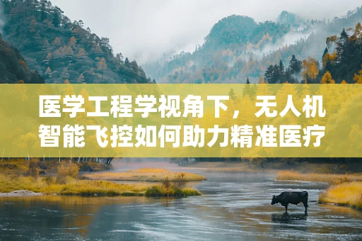 医学工程学视角下，无人机智能飞控如何助力精准医疗物资配送？