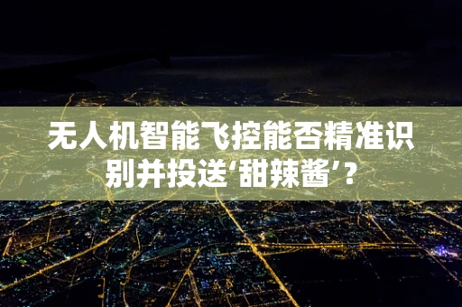 无人机智能飞控能否精准识别并投送‘甜辣酱’？