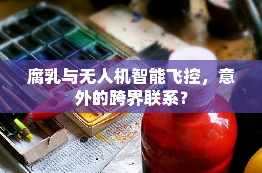 腐乳与无人机智能飞控，意外的跨界联系？