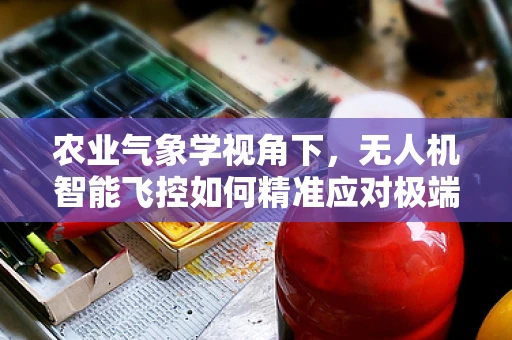 农业气象学视角下，无人机智能飞控如何精准应对极端天气？