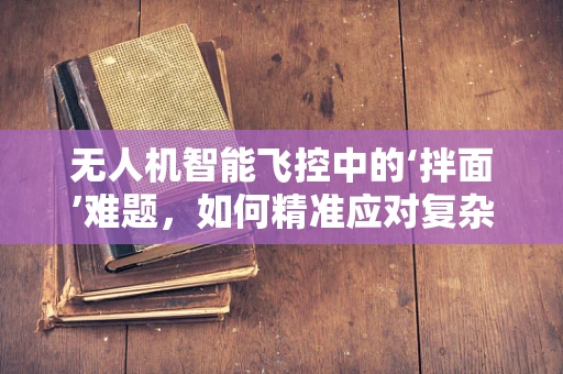 无人机智能飞控中的‘拌面’难题，如何精准应对复杂环境下的飞行挑战？