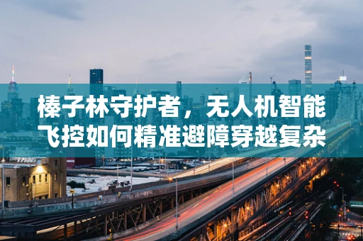 榛子林守护者，无人机智能飞控如何精准避障穿越复杂地形？
