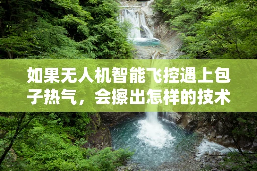 如果无人机智能飞控遇上包子热气，会擦出怎样的技术火花？