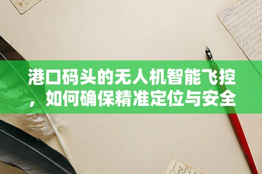 港口码头的无人机智能飞控，如何确保精准定位与安全避障？