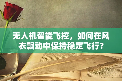 无人机智能飞控，如何在风衣飘动中保持稳定飞行？