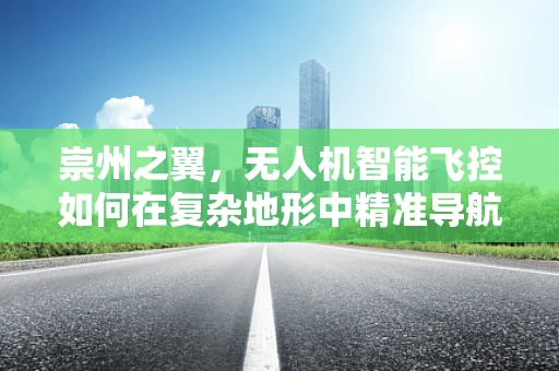 崇州之翼，无人机智能飞控如何在复杂地形中精准导航？