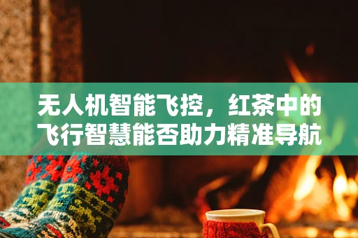 无人机智能飞控，红茶中的飞行智慧能否助力精准导航？
