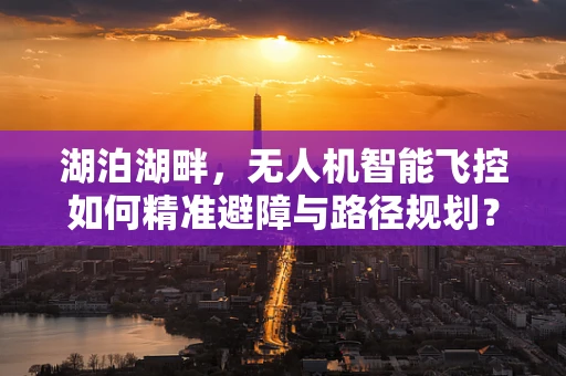 湖泊湖畔，无人机智能飞控如何精准避障与路径规划？