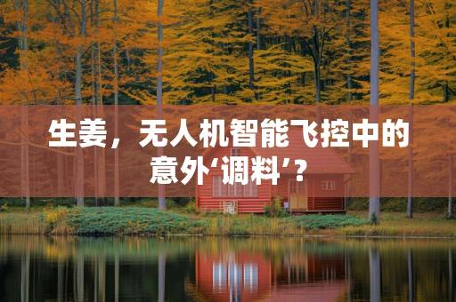 生姜，无人机智能飞控中的意外‘调料’？