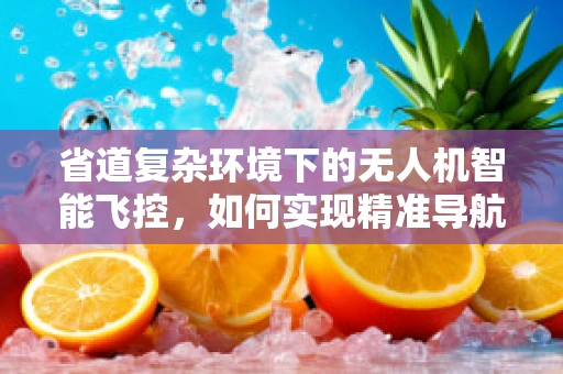 省道复杂环境下的无人机智能飞控，如何实现精准导航与避障？