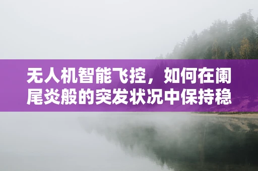 无人机智能飞控，如何在阑尾炎般的突发状况中保持稳定飞行？