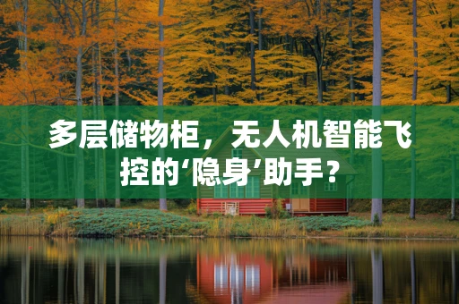 多层储物柜，无人机智能飞控的‘隐身’助手？