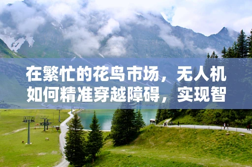 在繁忙的花鸟市场，无人机如何精准穿越障碍，实现智能飞控？