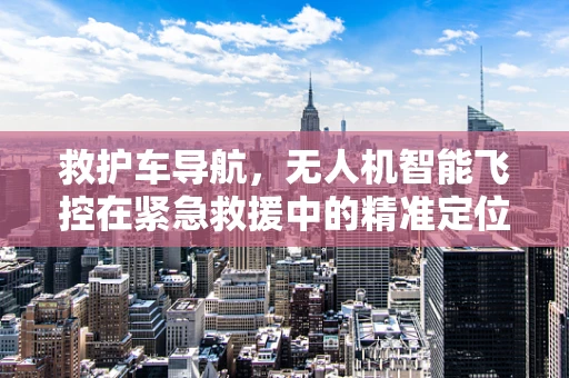 救护车导航，无人机智能飞控在紧急救援中的精准定位挑战