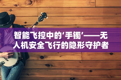 智能飞控中的‘手镯’——无人机安全飞行的隐形守护者