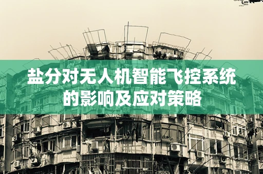 盐分对无人机智能飞控系统的影响及应对策略