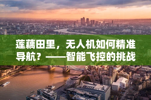 莲藕田里，无人机如何精准导航？——智能飞控的挑战与解决方案