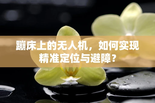 蹦床上的无人机，如何实现精准定位与避障？