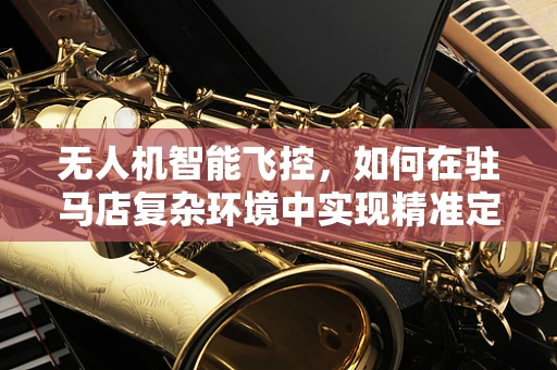 无人机智能飞控，如何在驻马店复杂环境中实现精准定位与避障？