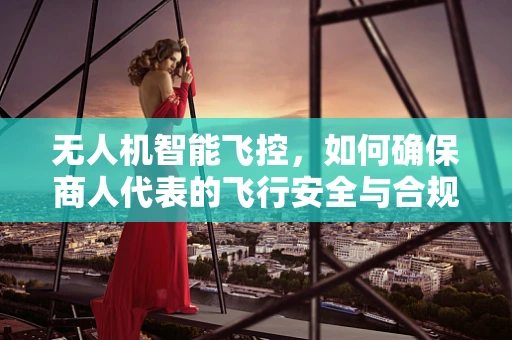 无人机智能飞控，如何确保商人代表的飞行安全与合规性？