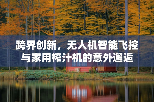 跨界创新，无人机智能飞控与家用榨汁机的意外邂逅