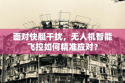 面对快艇干扰，无人机智能飞控如何精准应对？