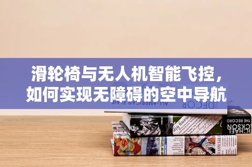 滑轮椅与无人机智能飞控，如何实现无障碍的空中导航？