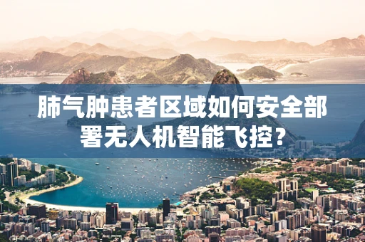 肺气肿患者区域如何安全部署无人机智能飞控？