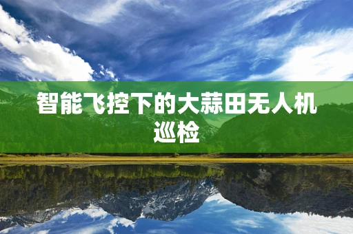 智能飞控下的大蒜田无人机巡检