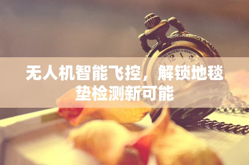 无人机智能飞控，解锁地毯垫检测新可能