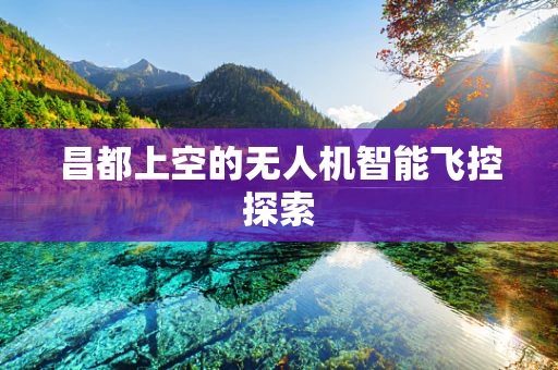 昌都上空的无人机智能飞控探索