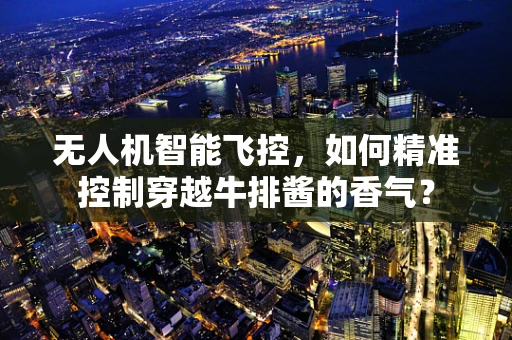 无人机智能飞控，如何精准控制穿越牛排酱的香气？