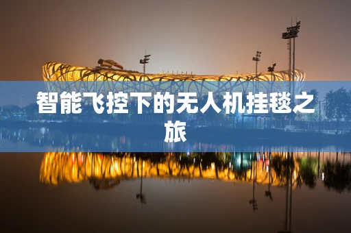 智能飞控下的无人机挂毯之旅