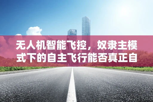无人机智能飞控，奴隶主模式下的自主飞行能否真正自主？