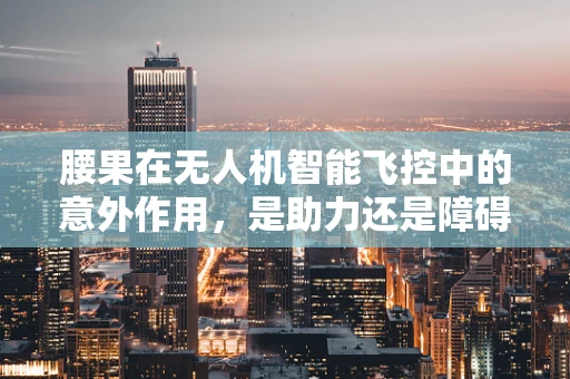 腰果在无人机智能飞控中的意外作用，是助力还是障碍？