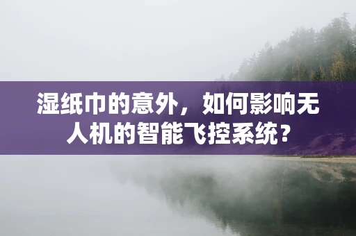 湿纸巾的意外，如何影响无人机的智能飞控系统？