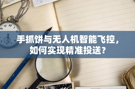 手抓饼与无人机智能飞控，如何实现精准投送？