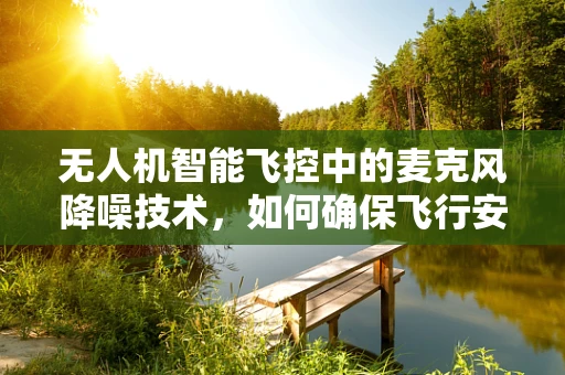 无人机智能飞控中的麦克风降噪技术，如何确保飞行安全与通信清晰？