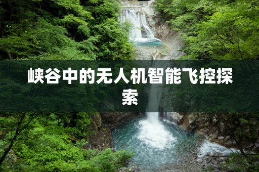 峡谷中的无人机智能飞控探索