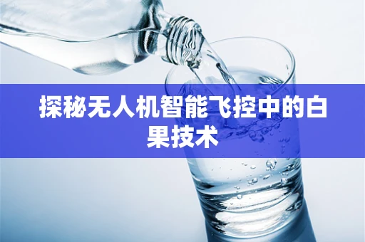 探秘无人机智能飞控中的白果技术