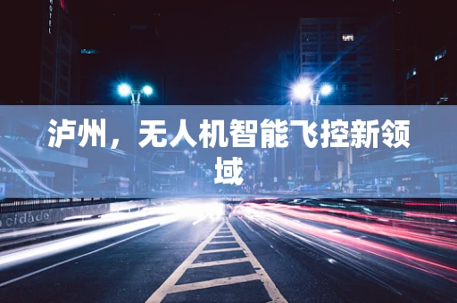 泸州，无人机智能飞控新领域