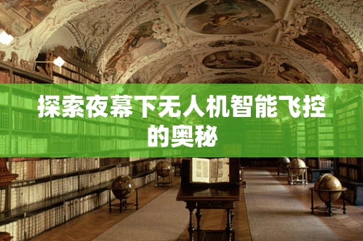 探索夜幕下无人机智能飞控的奥秘